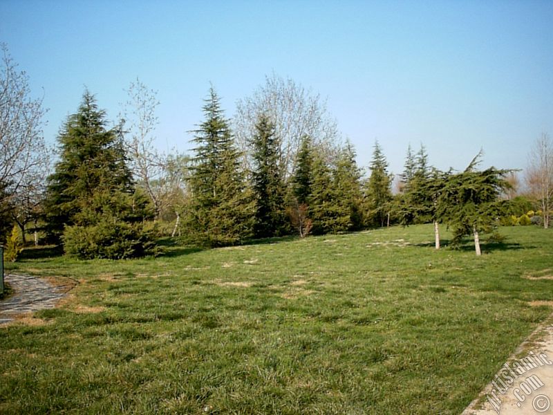 View of Botanical Park in Bursa city of Turkey.
